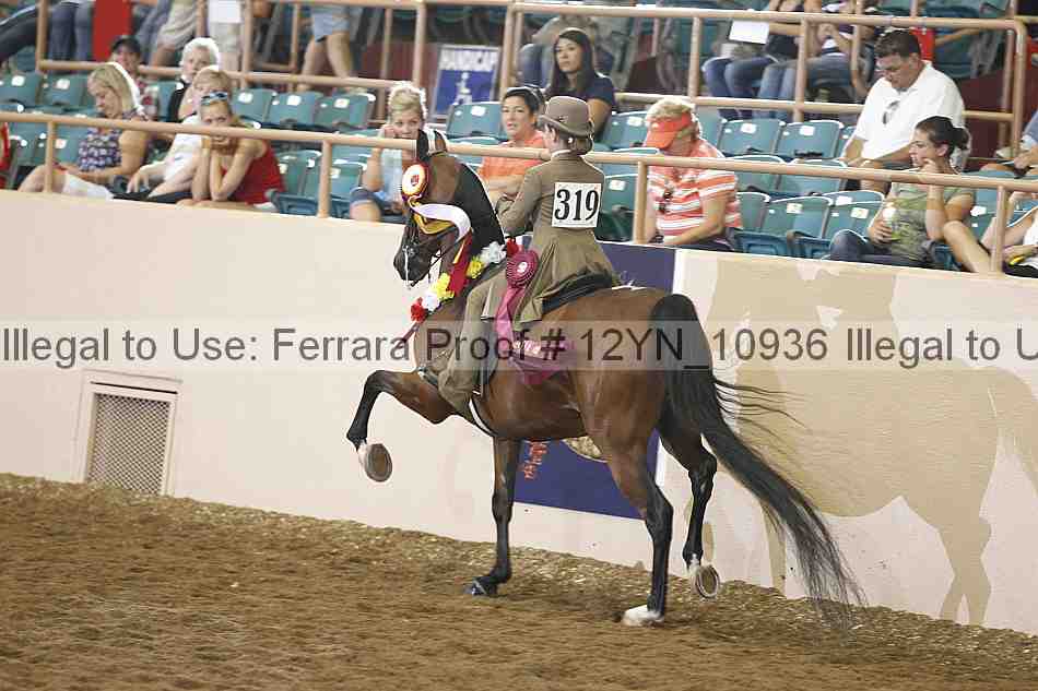 Proof 12yn_10936