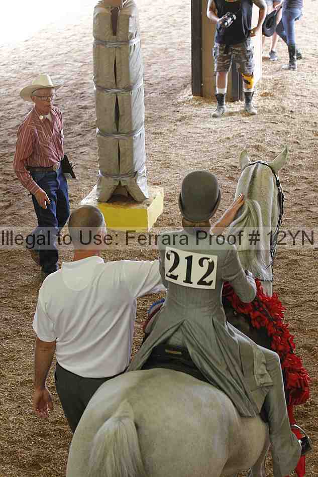 Proof 12yn_10957