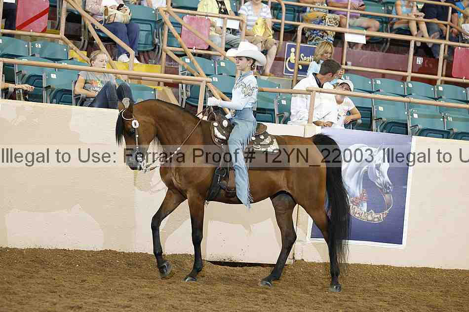 Proof 12yn_22003