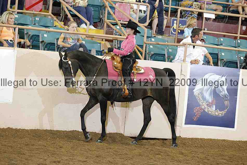Proof 12yn_22009