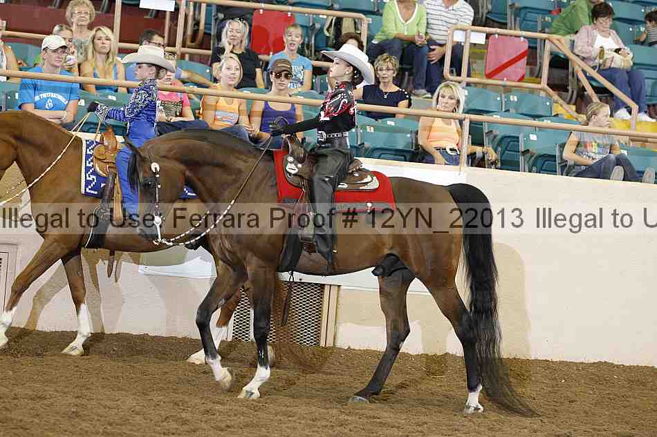 Proof 12yn_22013