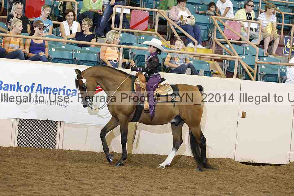 Proof 12yn_22014