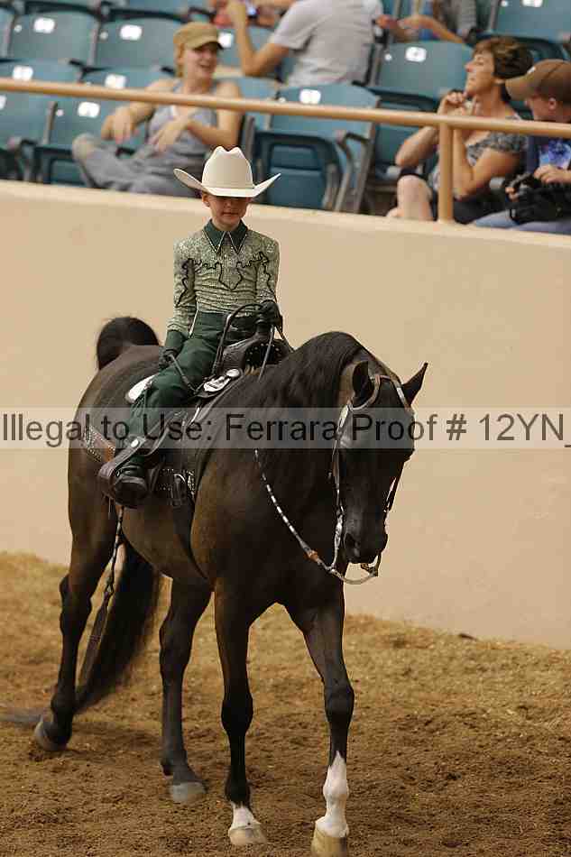 Proof 12yn_22049