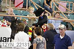 12yn_22131 proof
