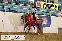 12yn_22212 proof