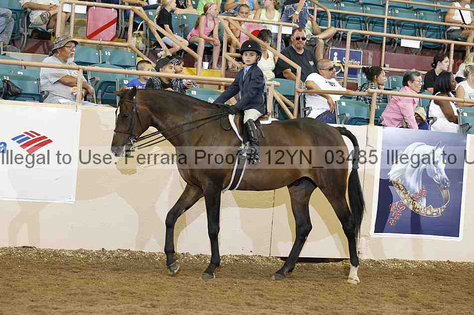 Proof 12yn_03485