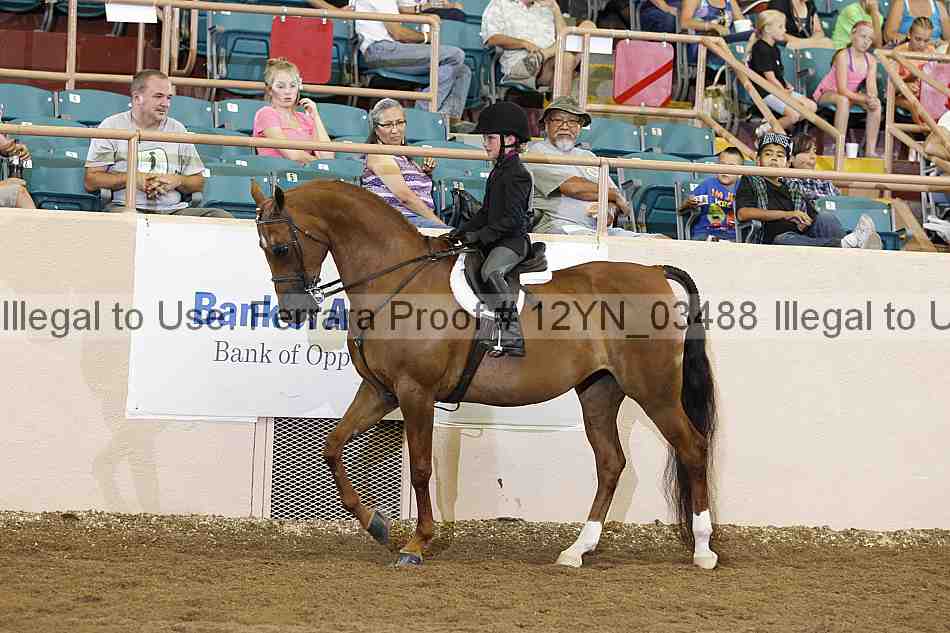 Proof 12yn_03488