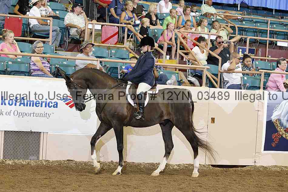 Proof 12yn_03489