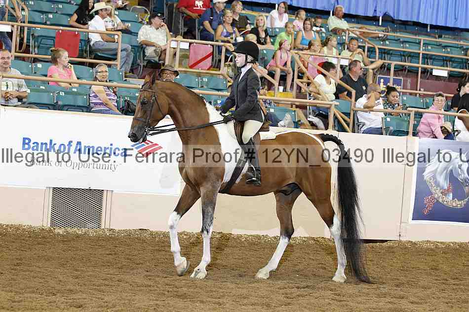 Proof 12yn_03490