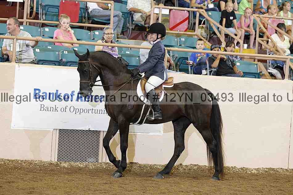 Proof 12yn_03493