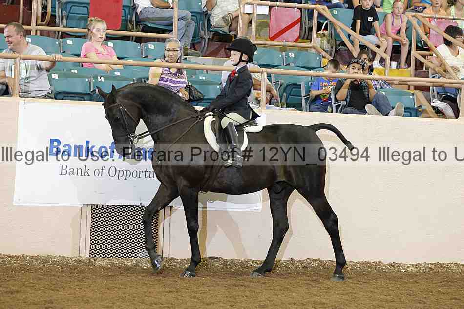 Proof 12yn_03494