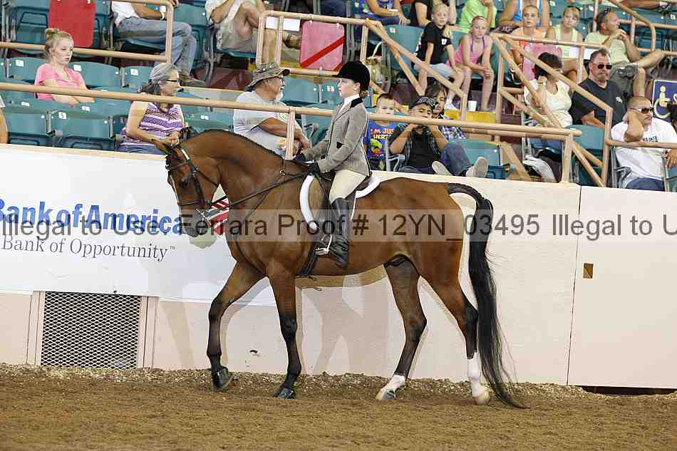 Proof 12yn_03495