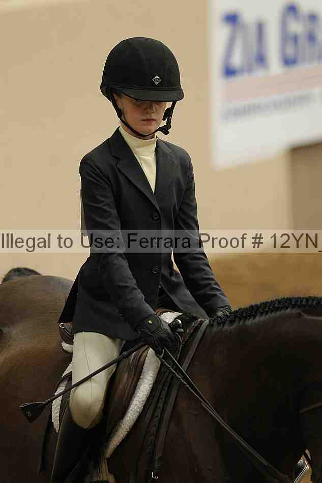 Proof 12yn_03499
