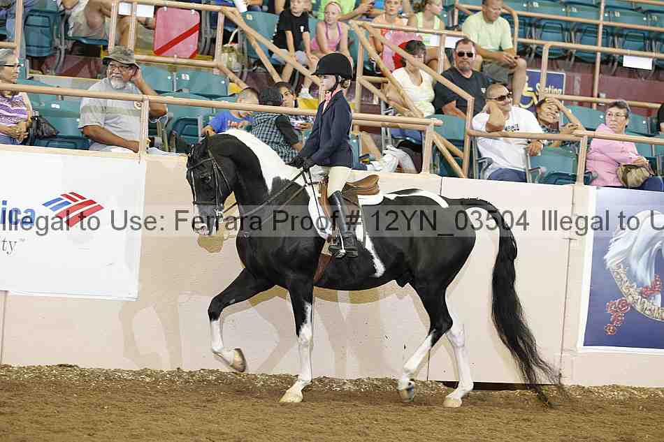Proof 12yn_03504