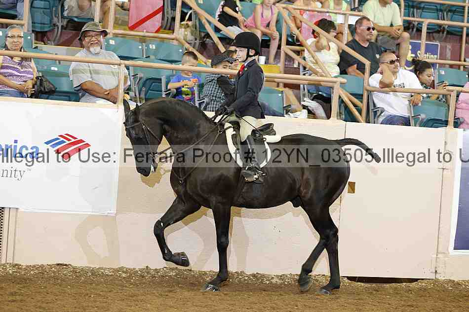 Proof 12yn_03505