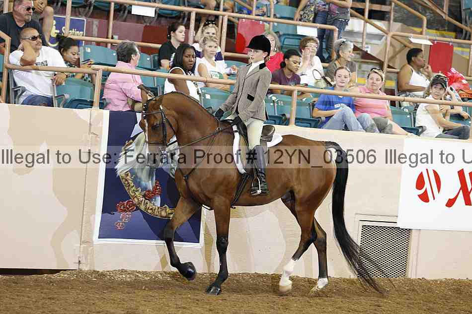 Proof 12yn_03506