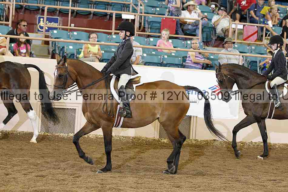 Proof 12yn_03509