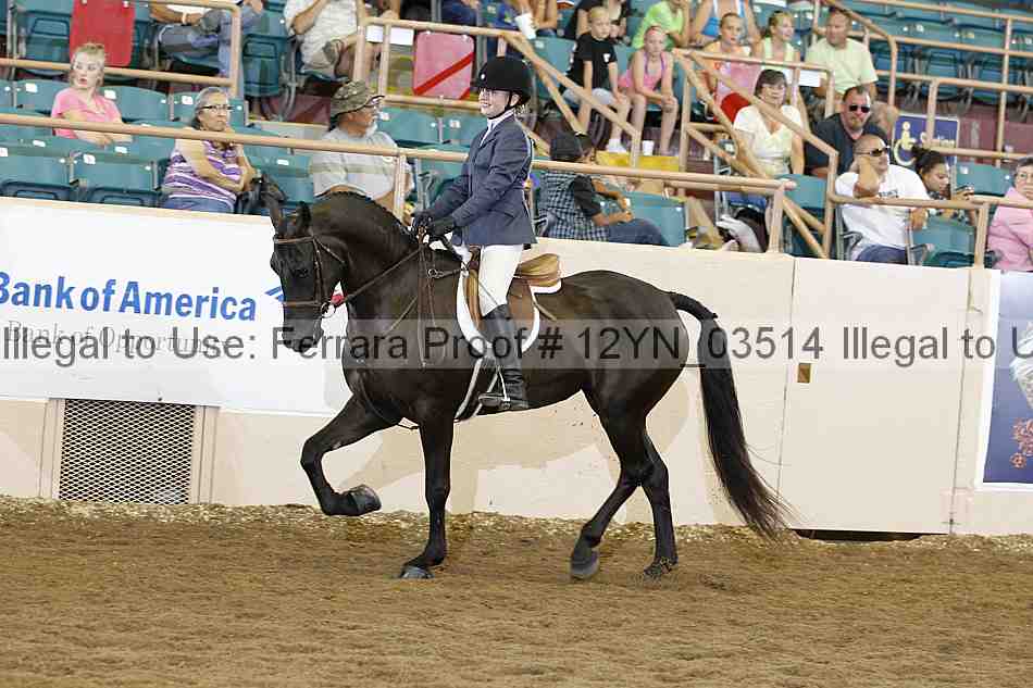 Proof 12yn_03514