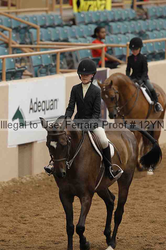 Proof 12yn_03516