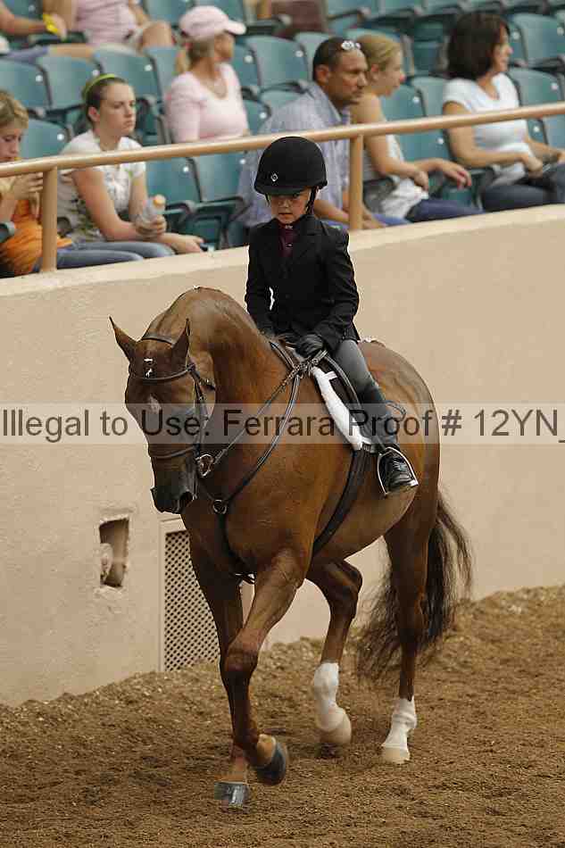 Proof 12yn_03519