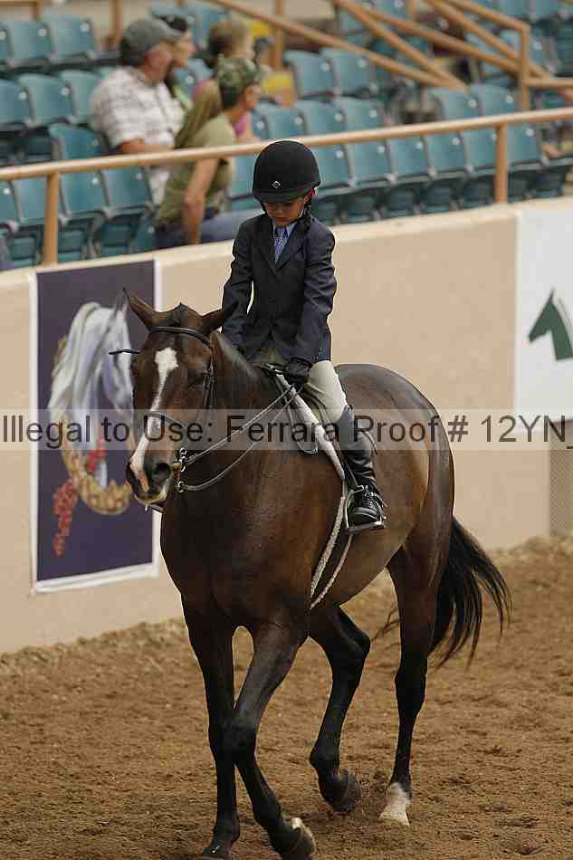 Proof 12yn_03521