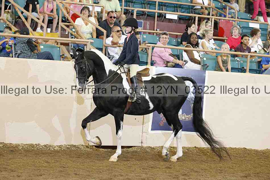 Proof 12yn_03522