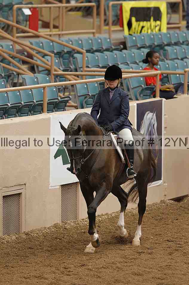 Proof 12yn_03523