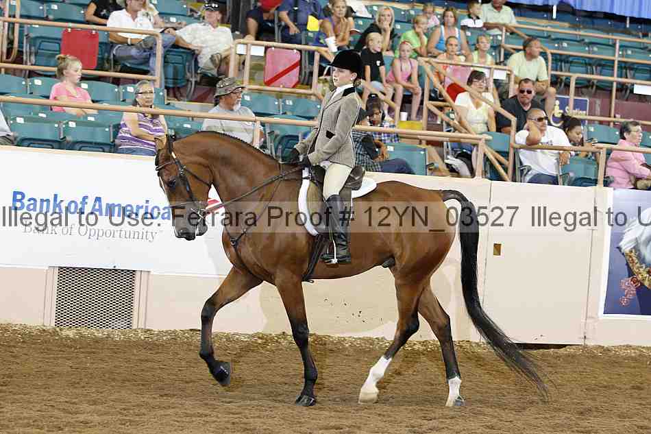 Proof 12yn_03527