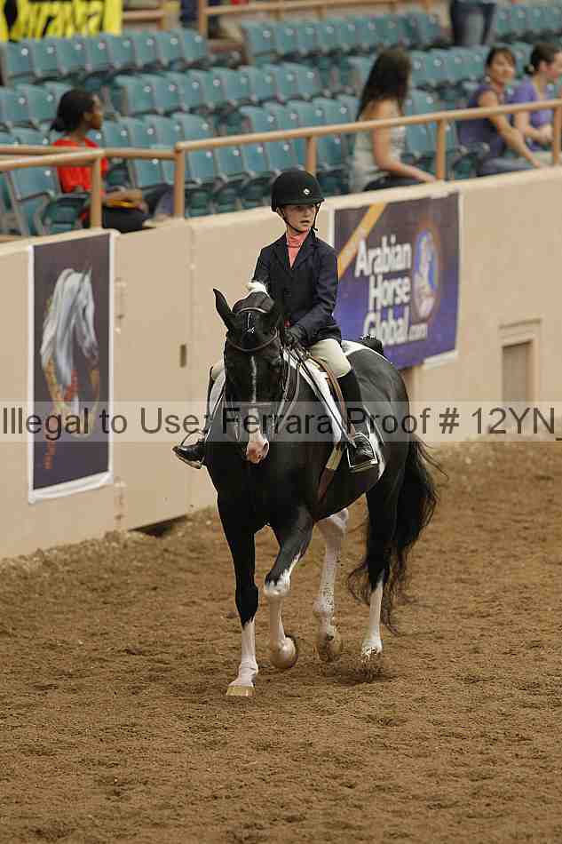 Proof 12yn_03528