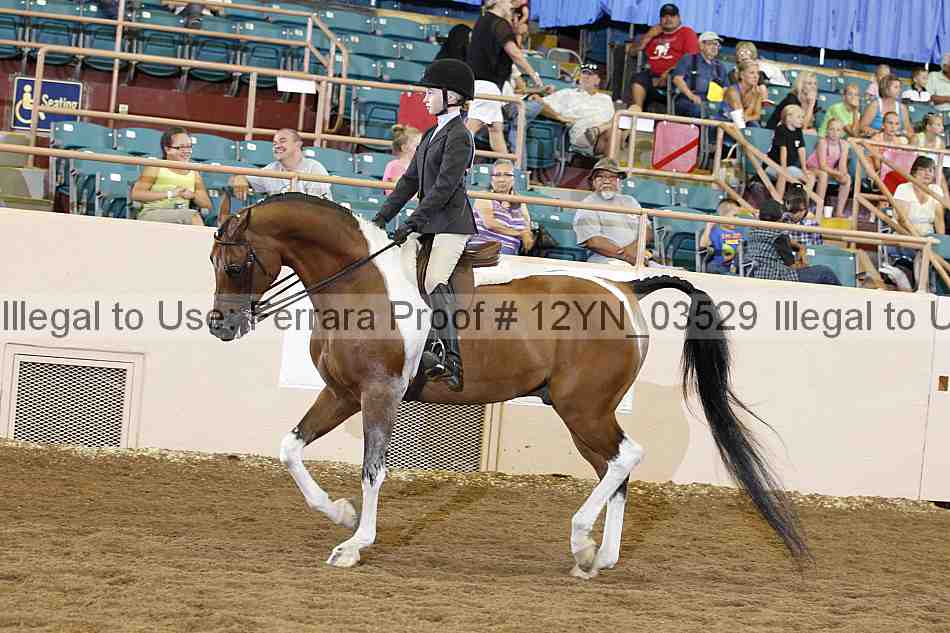 Proof 12yn_03529