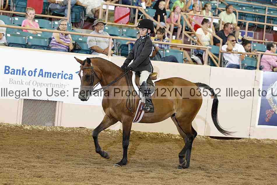 Proof 12yn_03532