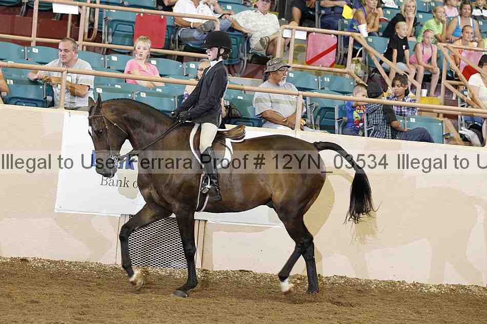 Proof 12yn_03534