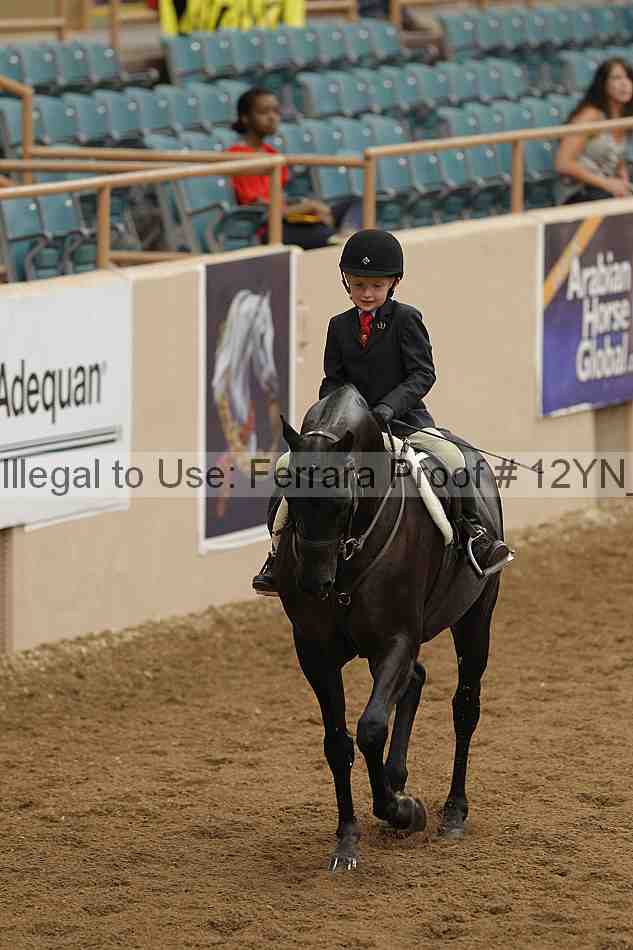 Proof 12yn_03535