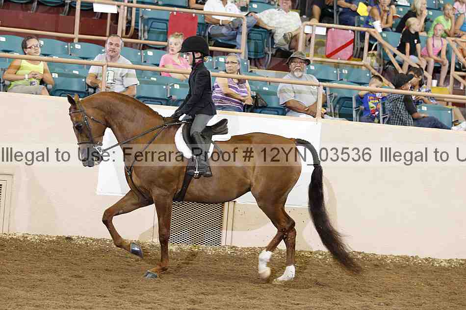 Proof 12yn_03536