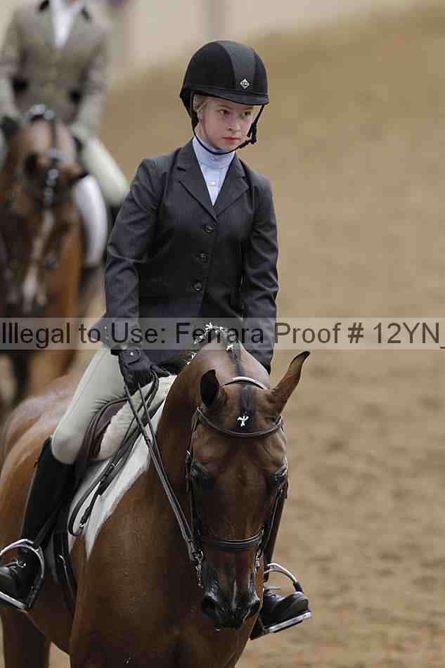 Proof 12yn_03537