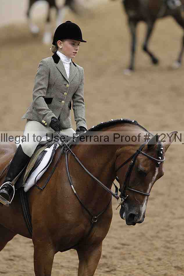 Proof 12yn_03538