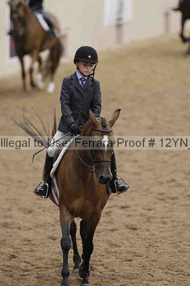 Proof 12yn_03539
