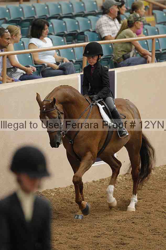 Proof 12yn_03541
