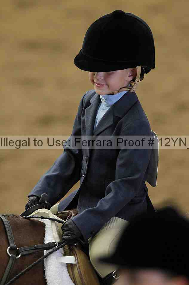 Proof 12yn_03551