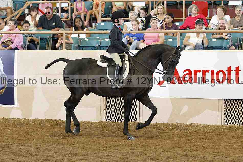 Proof 12yn_03553