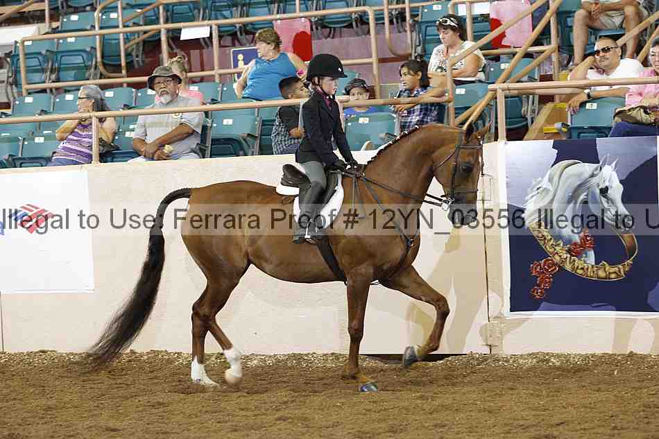 Proof 12yn_03556