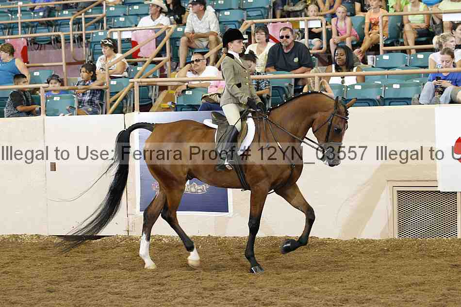 Proof 12yn_03557