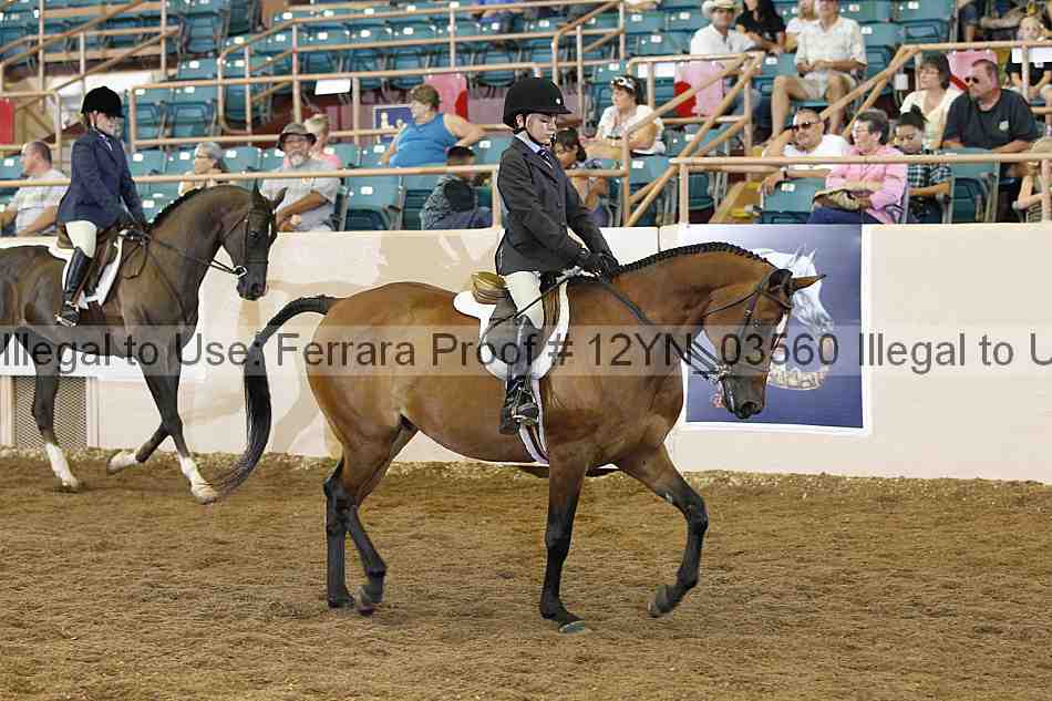 Proof 12yn_03560