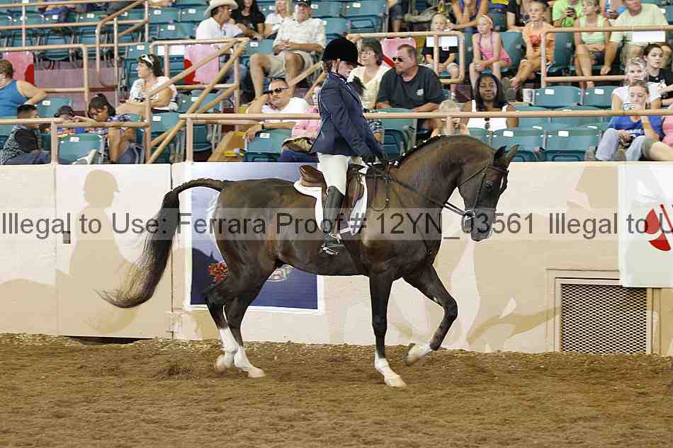 Proof 12yn_03561