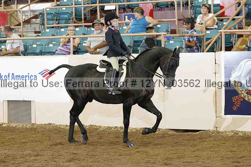 Proof 12yn_03562