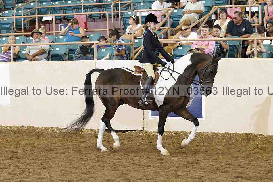 Proof 12yn_03563