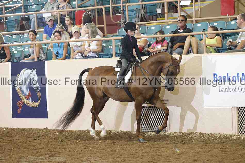 Proof 12yn_03566