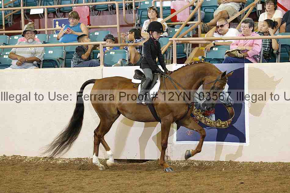 Proof 12yn_03567