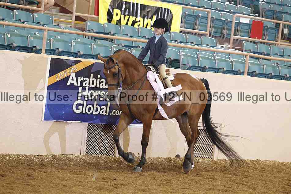 Proof 12yn_03569
