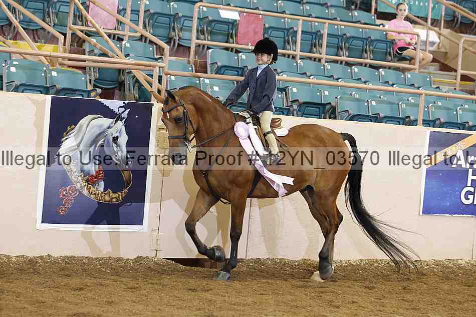 Proof 12yn_03570